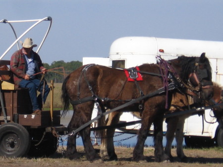 Mule Skinner Training