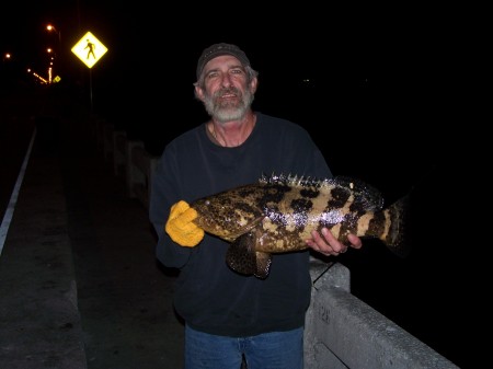 Small Jewfish