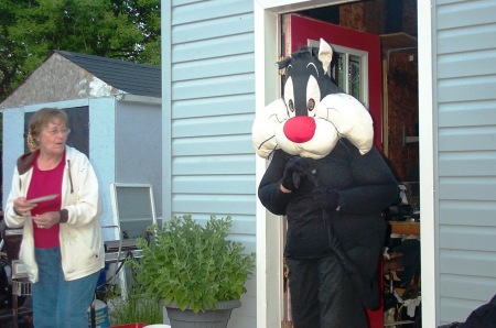 Sylvester the cat