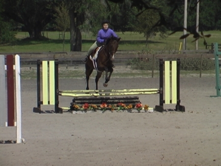 Leah Horse show