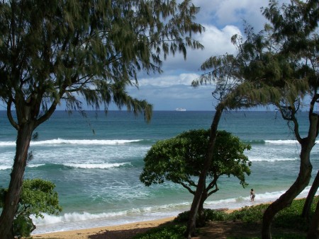 Hawaii  4  2008 095