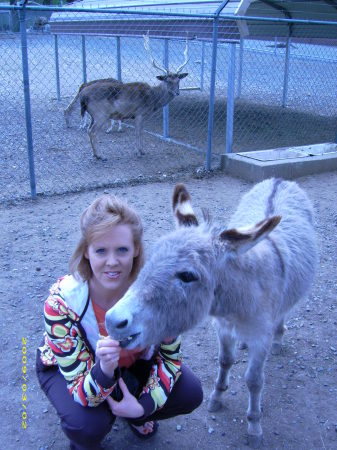 33" donkey awe wee