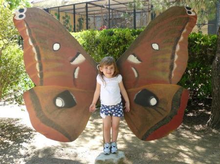 Maddie as a butterfly at the zoo