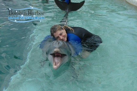 swimming with the dolphins!
