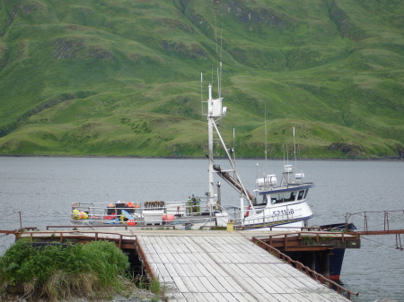 f/v Blue Pear