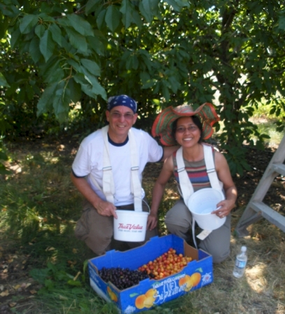 Rich and Carmi Picking Cherries