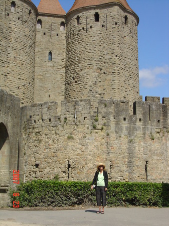 Robin in front of a Castle in France