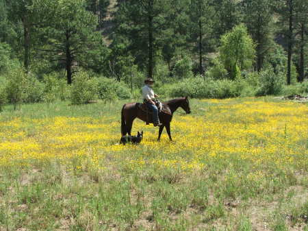 Me, my Horse, and Dog