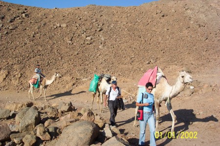 diving in Dahab, Egypt