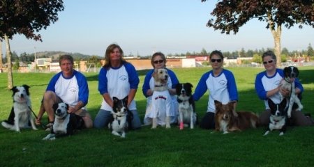 Our Flyball Team