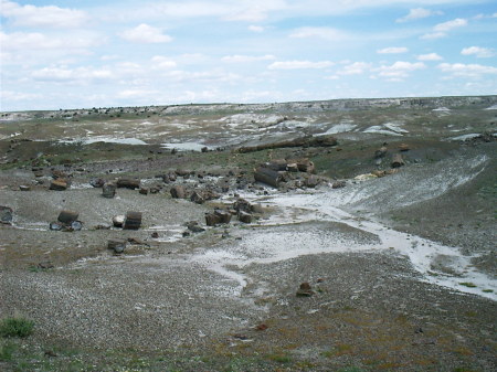 Petrified Forest in Arizona