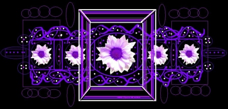 Daisy Braclet, Purple