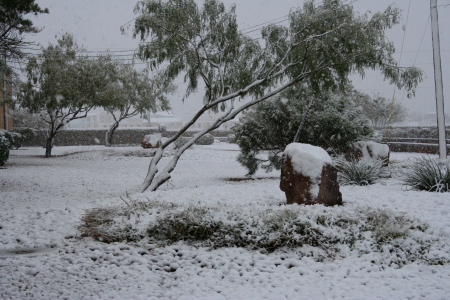 Snow at Fort Bliss