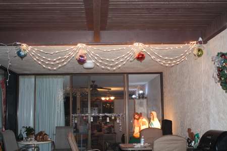 some of our christmas decorations - looking in