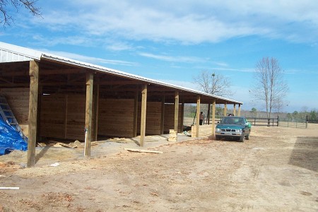 New 12 stall horse barn
