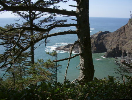 Oregon Coast 2009