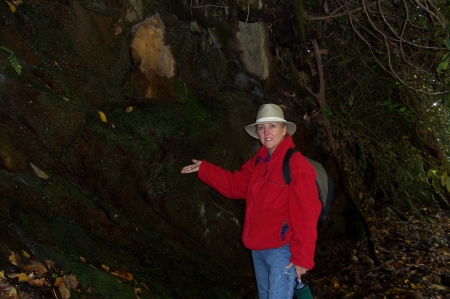 Hiking in the Smokies