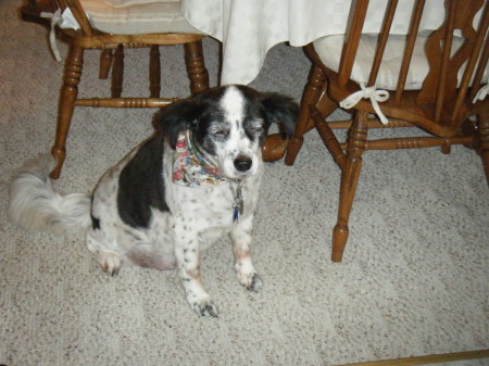 Sadie Mae Poo (2009)