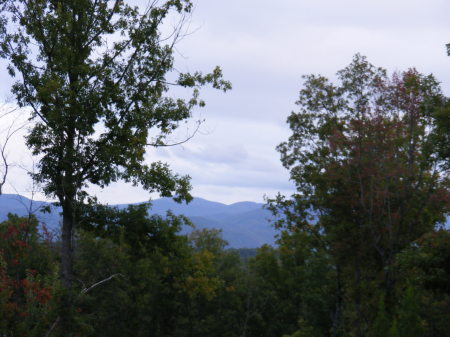 What a view from our cabin! Helen, Ga 10/2008