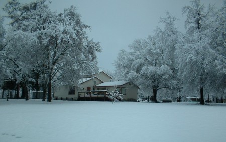 Great 2010 Snow