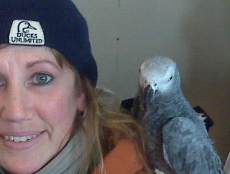 Me and Stella (African Grey Parrot)