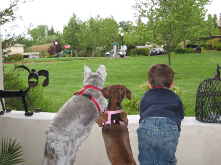 CAN WE GO PLAY ON THE SLIDE????