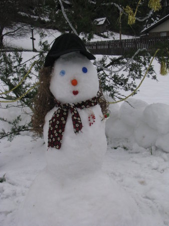 My snow-woman