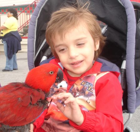 Monterey bird & my son James