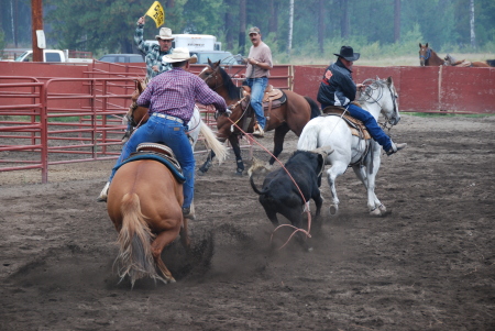 Im flagging the team roping at play day