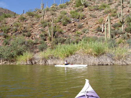 Kayaking on Saguaro Lake AZ.