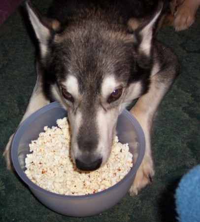 Tuck & his popcorn