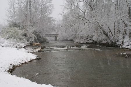 the creek at my house.