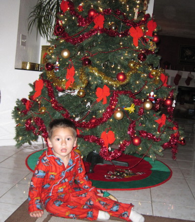 My grandson Lil Michael at Christmas 09