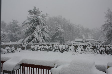 The Feb 2010 Blizzard in NJ