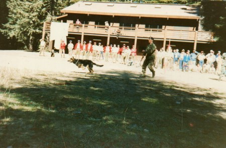 K-9 Demonstration in Northern CA 1985