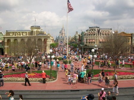 Disney World Pic