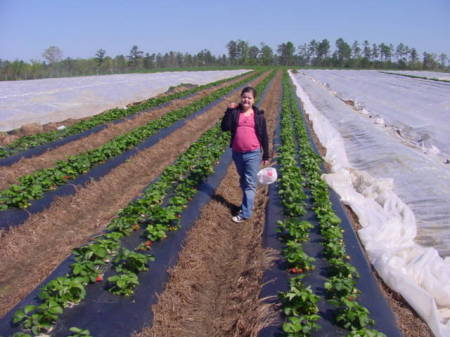 Daughter,Molly picking strawberries