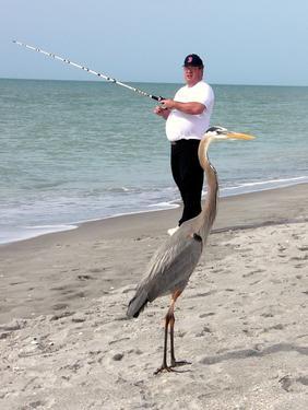 Fishing on sanabel Island, Florida
