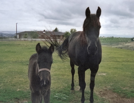 Jose w/mom in Yakima, New addition to our fami