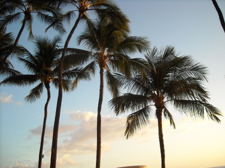 hawaii 12/22/2009