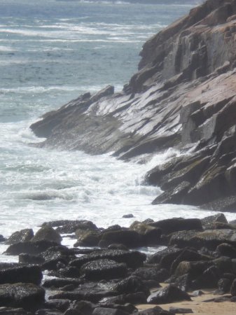 Acadia National Park, Seashore