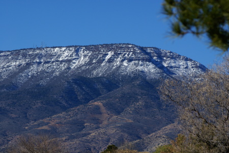 Mingus Mountain