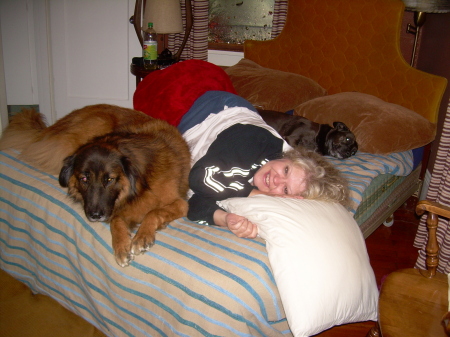ME AND THE IN LAWS DOGS