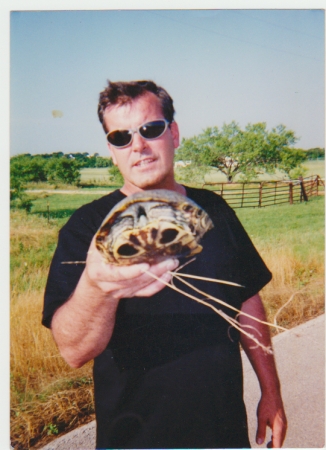 The World's Largest Painted Turtle?