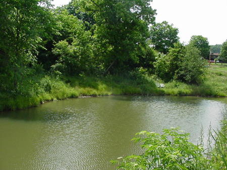 My fishing spot from the dam