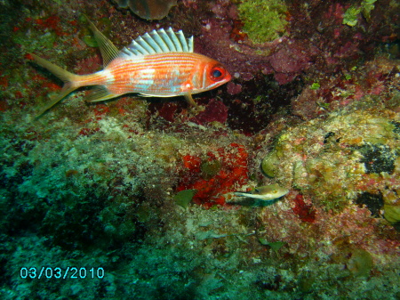 March Belize 2010 025