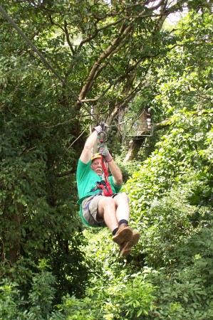 Rain Forest Swing