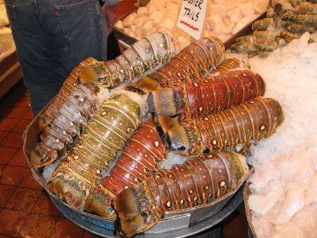 Seattle's Lobster tails
