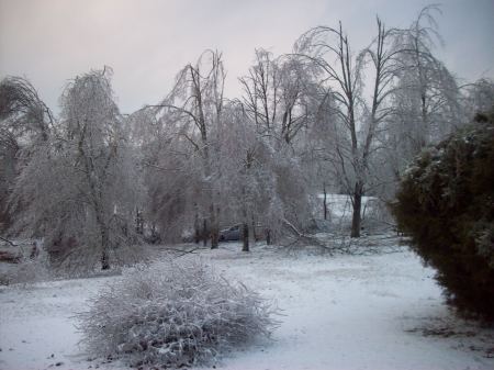 Ice Storm-1-27-09