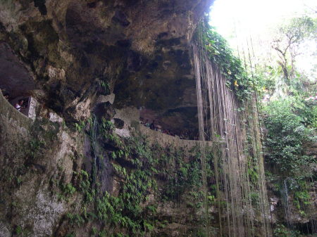 THE SIDE OF THE CENOTE